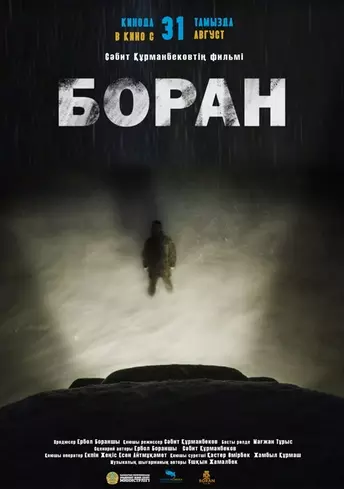 Постер фильма Боран