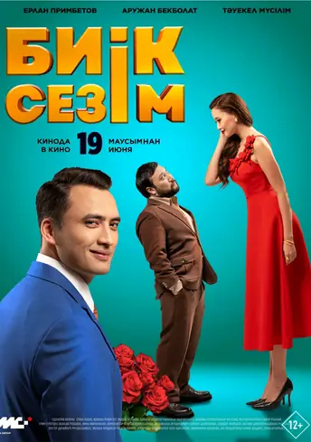 Постер фильма Биік сезім